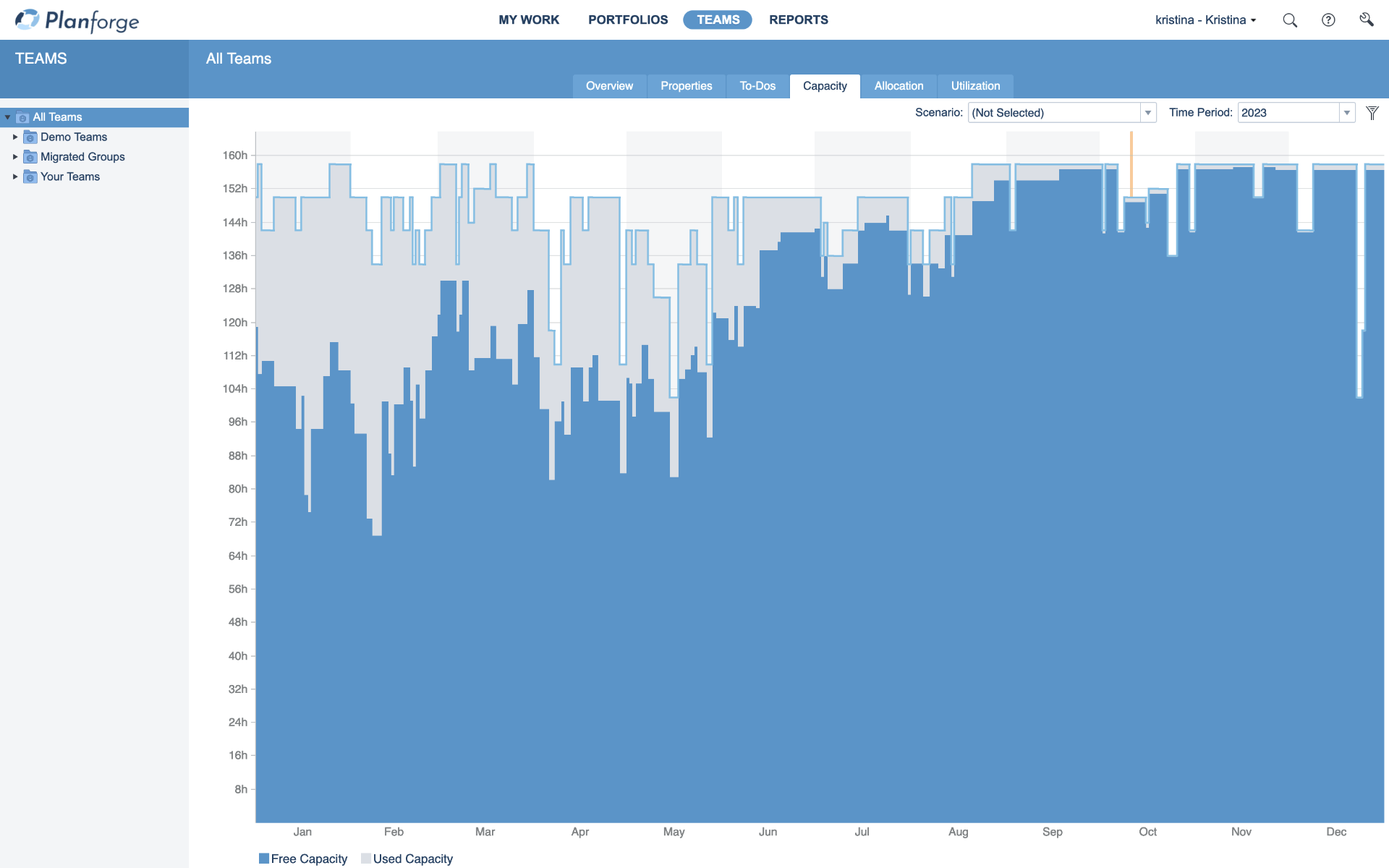 Capacity Planning in Planforge ppm software