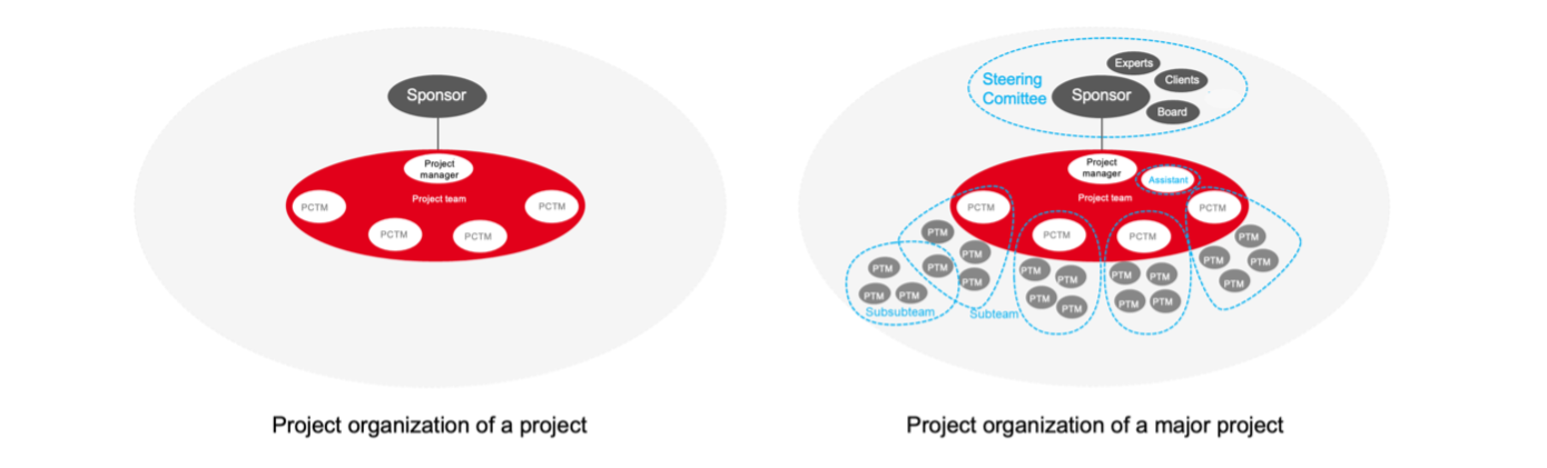 Project organizations of projects versus major projects